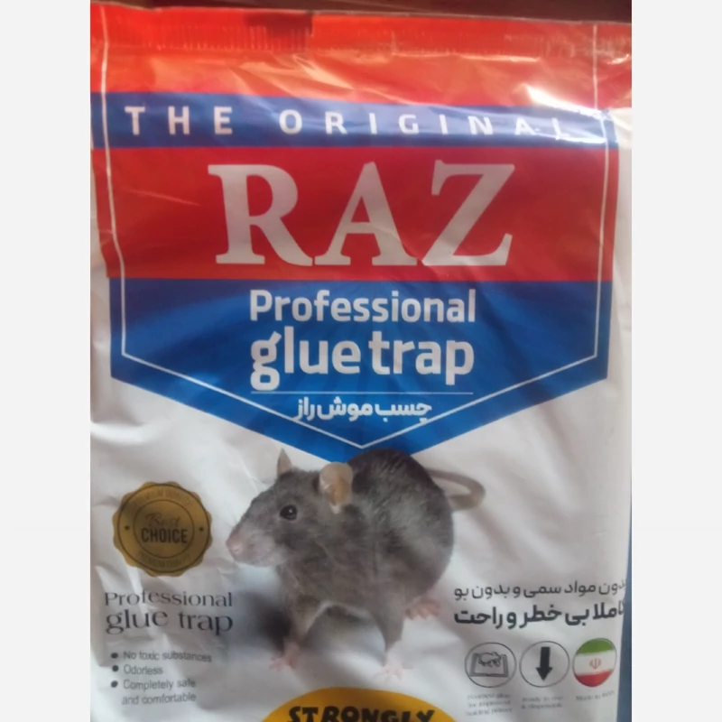 چسب موش کتابی راز